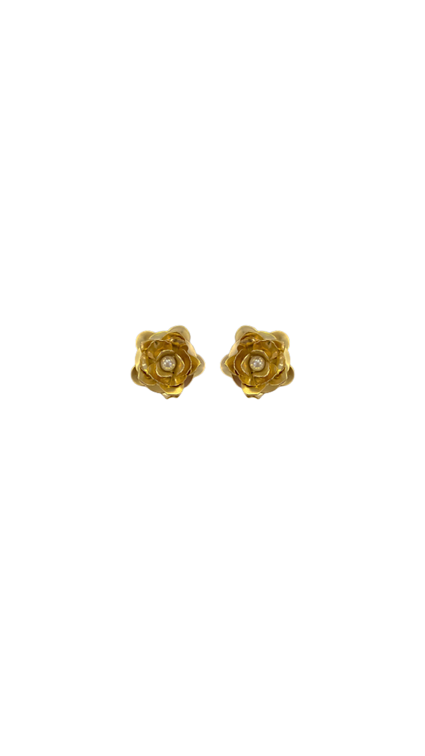 Earrings Anna Cate
